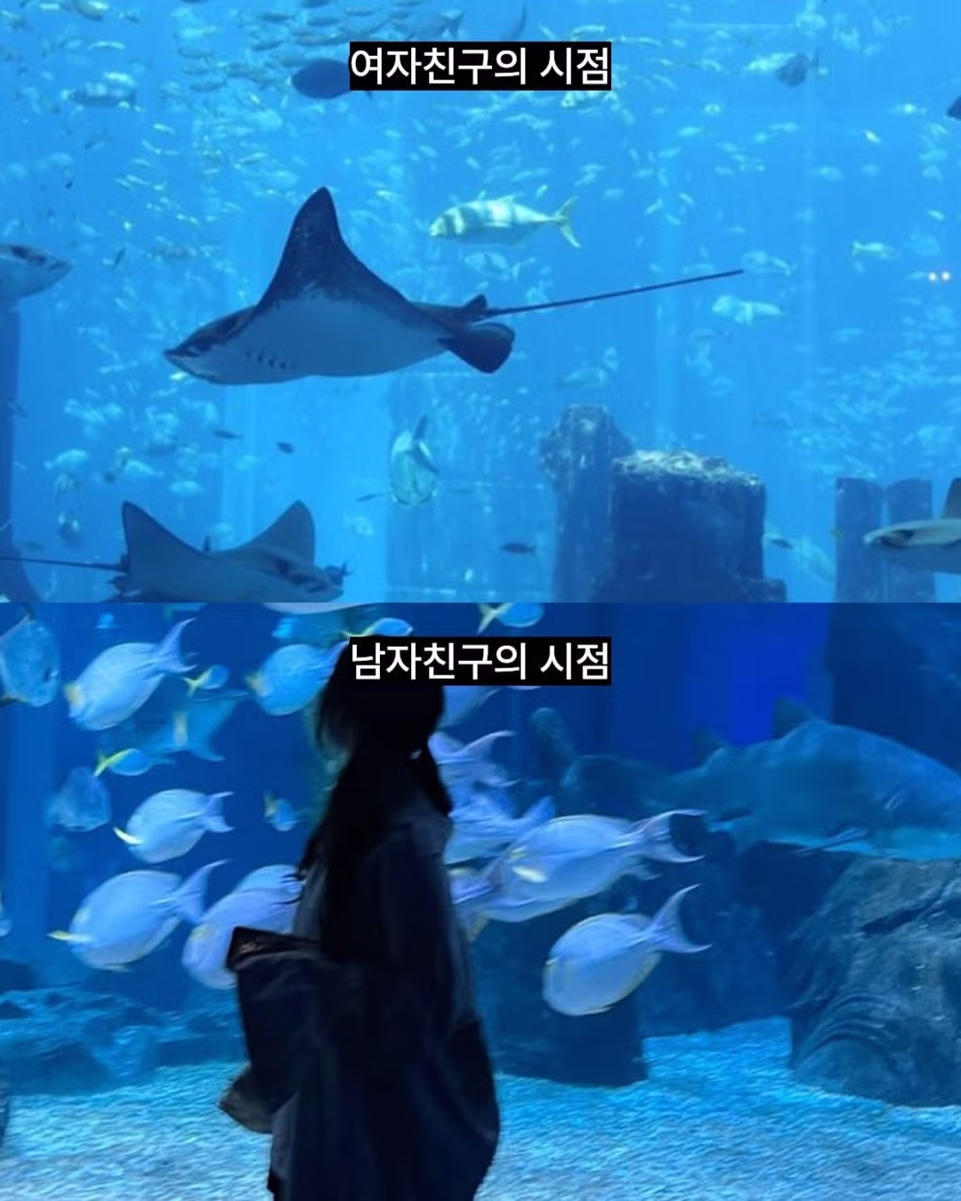 싱글벙글 여자들은 모르는 남자들의 시점.jpg - 웃대 인기글 이미지 3 - 밈카세