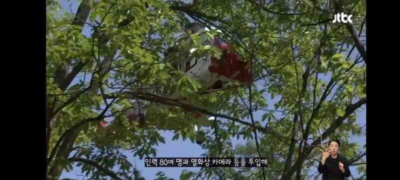 주왕산에서 실종된 초등학생 수색 작업 진행 중 - 보배드림 인기글 이미지 16 - 밈카세