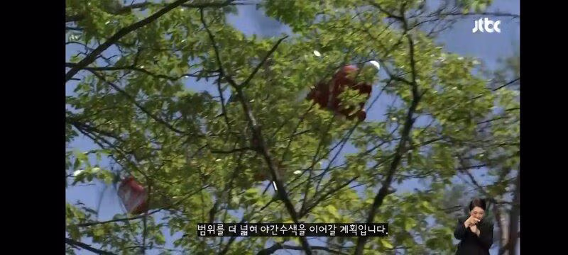 주왕산에서 실종된 초등학생 수색 작업 진행 중 - 보배드림 인기글 이미지 17 - 밈카세