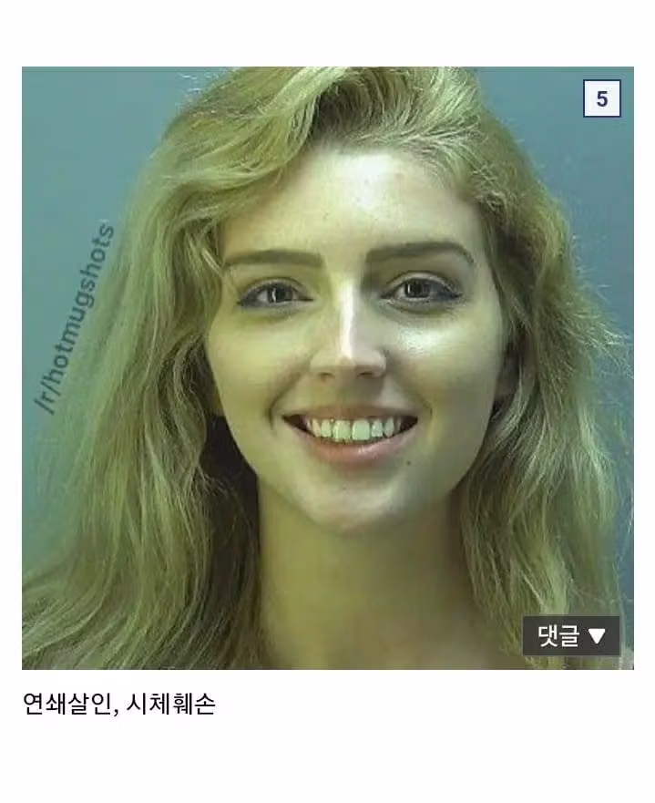 나의 이상형 찾기 - 개드립 인기글 이미지 3 - 밈카세