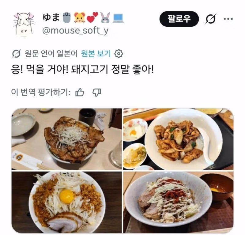 돼지고기를 먹는 사람들을 조롱하는 무슬림 - 뽐뿌 인기글 이미지 3 - 밈카세