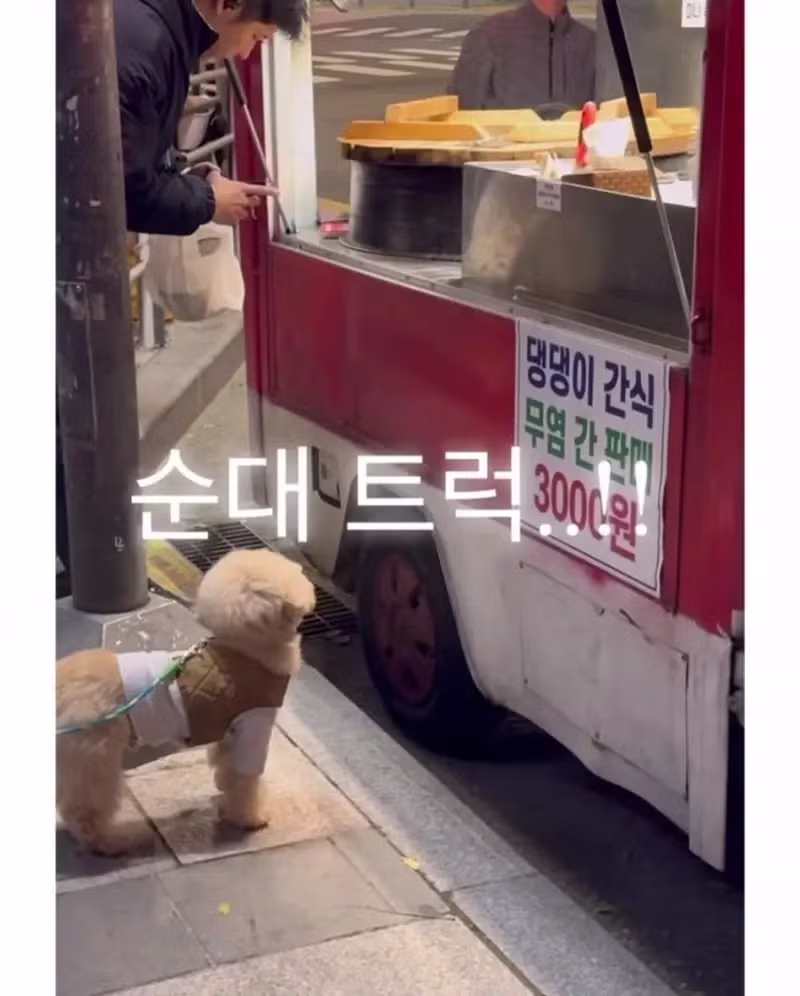 집 앞에 생각지도 못한 것이 생겼다 - 보배드림 인기글 이미지 3 - 밈카세