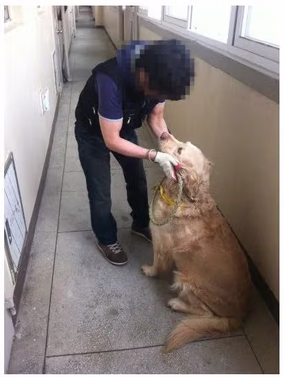 20대 여성의 고독사 유품 정리 기록 - 개드립 인기글 이미지 7 - 밈카세