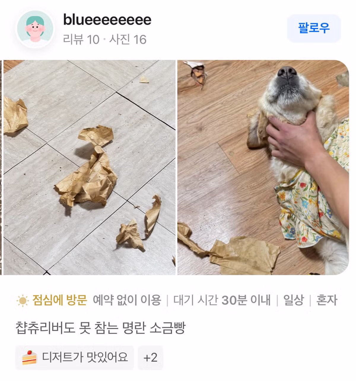 챱츄리버가 반한 명란 소금빵 - 개드립 인기글 이미지 1 - 밈카세