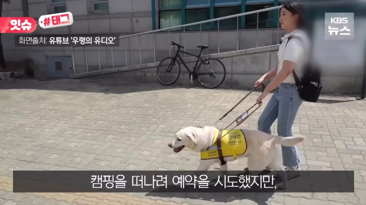 안내견 입장을 거부한 사유지 캠핑장 사건 - 더쿠 인기글 이미지 2 - 밈카세