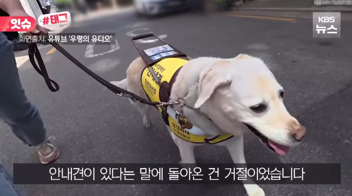 안내견 입장을 거부한 사유지 캠핑장 사건 - 더쿠 인기글 이미지 3 - 밈카세