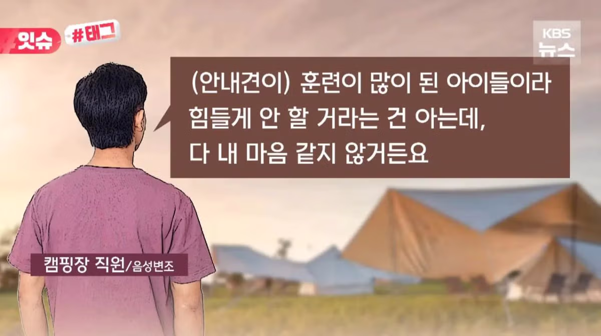 안내견 입장을 거부한 사유지 캠핑장 사건 - 더쿠 인기글 이미지 4 - 밈카세