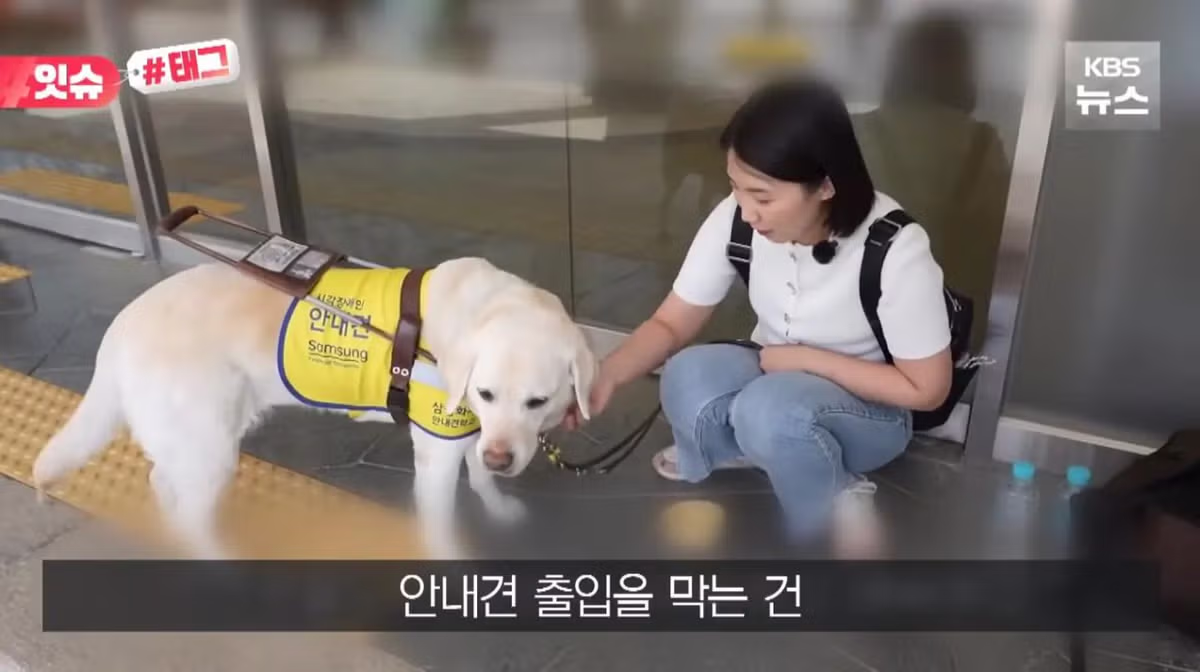 안내견 입장을 거부한 사유지 캠핑장 사건 - 더쿠 인기글 이미지 5 - 밈카세