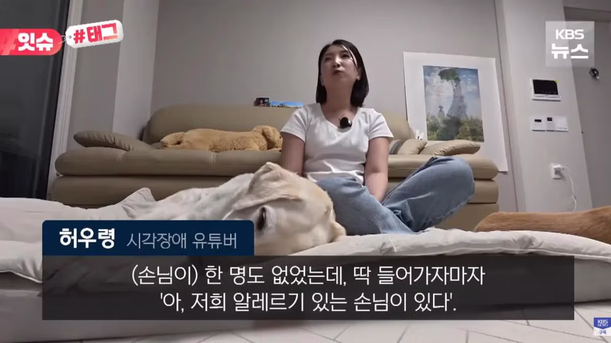 안내견 입장을 거부한 사유지 캠핑장 사건 - 인벤 인기글 이미지 12 - 밈카세