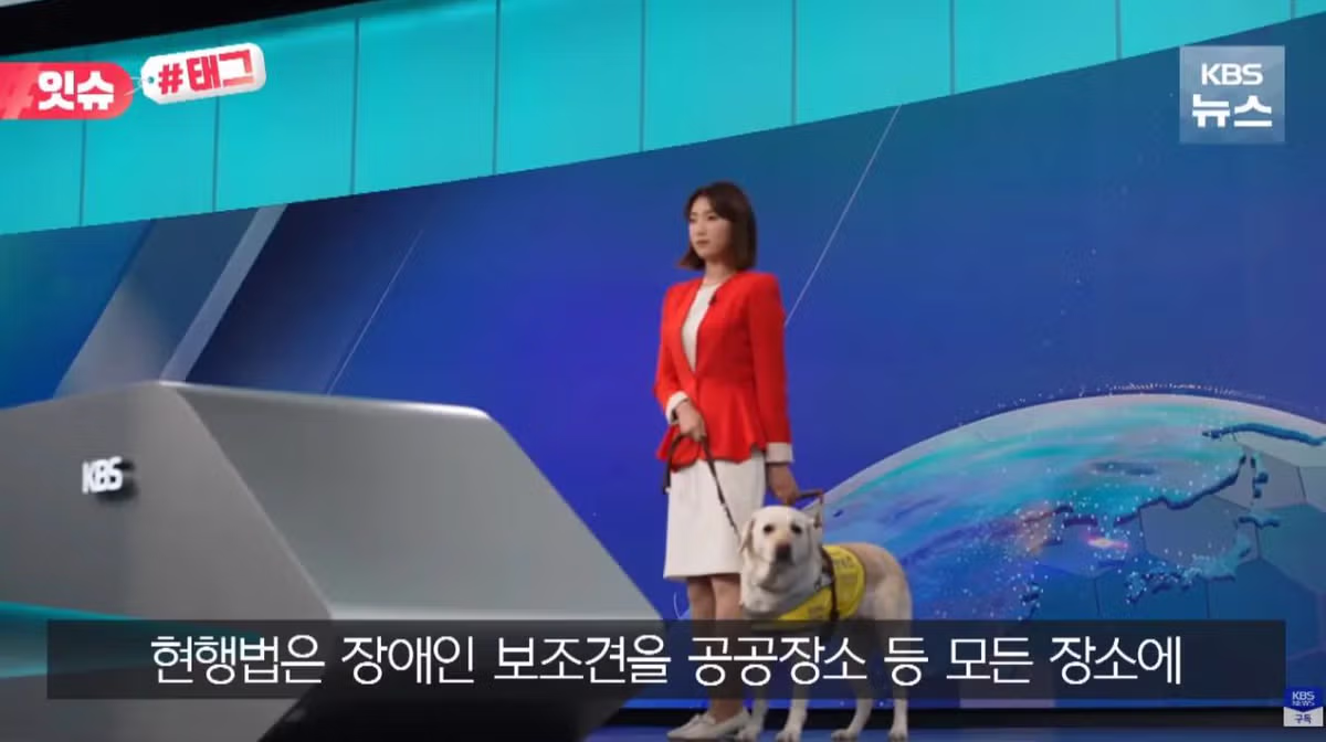 안내견 입장을 거부한 사유지 캠핑장 사건 - 인벤 인기글 이미지 14 - 밈카세