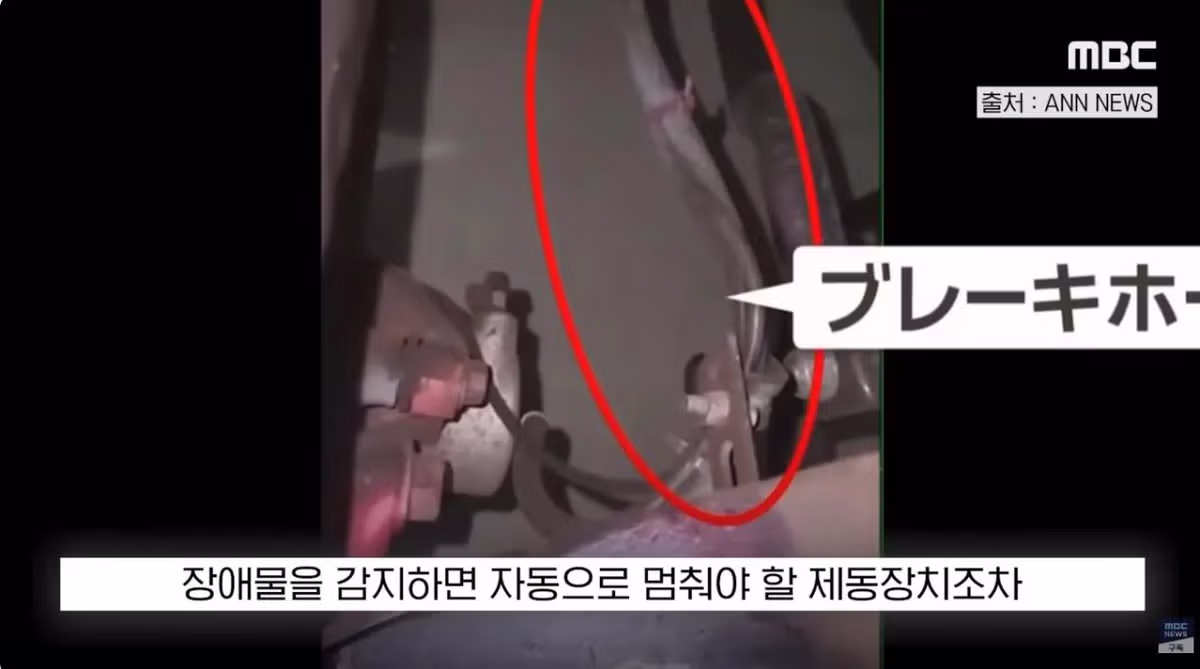 700억 투자한 사업이 알고 보니 일본산에 폭망한 사연 - MLB파크 인기글 이미지 14 - 밈카세