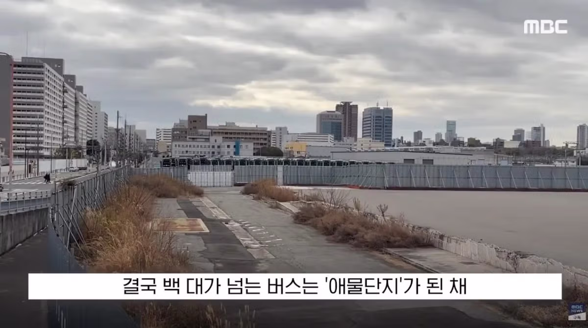 700억 투자한 사업이 알고 보니 일본산에 폭망한 사연 - MLB파크 인기글 이미지 25 - 밈카세