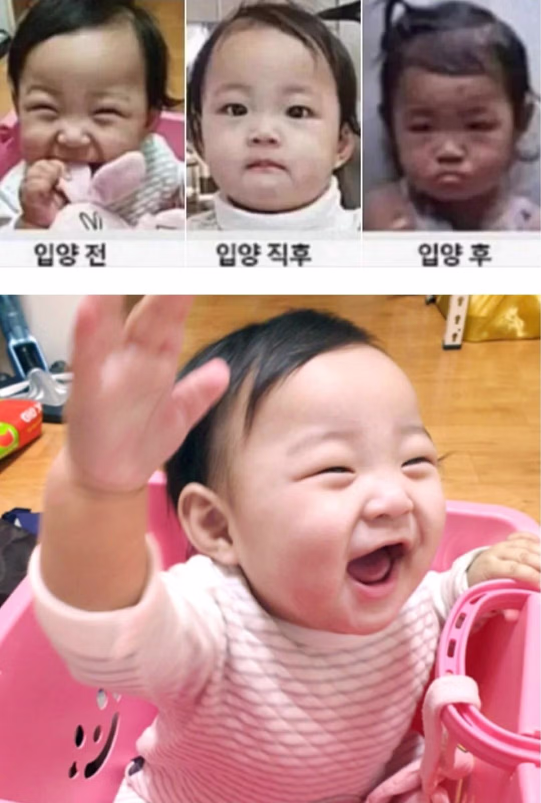 췌장 절단됐는데 몰랐다고 주장하며 출소한 정인이 양부 - 보배드림 인기글 이미지 1 - 밈카세