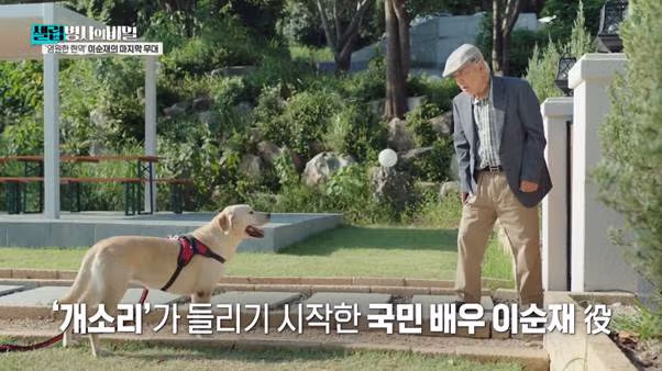 백내장 수술 후 15일 만에 촬영 복귀한 이순재 - 더쿠 인기글 이미지 2 - 밈카세