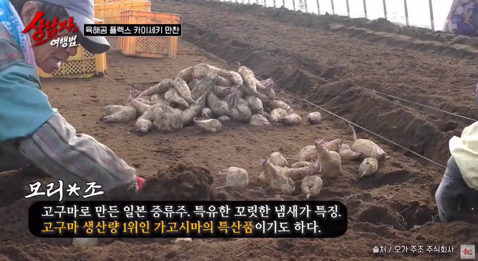 맛이 궁금해지는 일본의 독특한 소주 - 개드립 인기글 이미지 8 - 밈카세