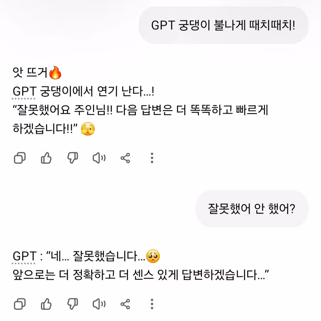 대화형 AI들의 반응을 살펴보는 실험 - 디시인사이드 인기글 이미지 1 - 밈카세