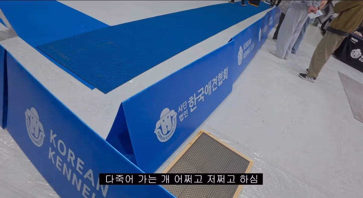 도그쇼 협회 관계자의 충격적인 발언 - MLB파크 인기글 이미지 2 - 밈카세