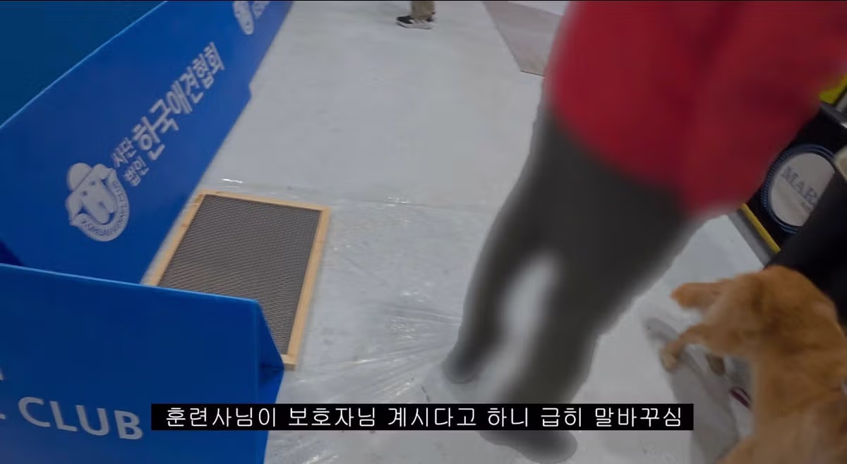 도그쇼 협회 관계자의 충격적인 발언 - MLB파크 인기글 이미지 3 - 밈카세