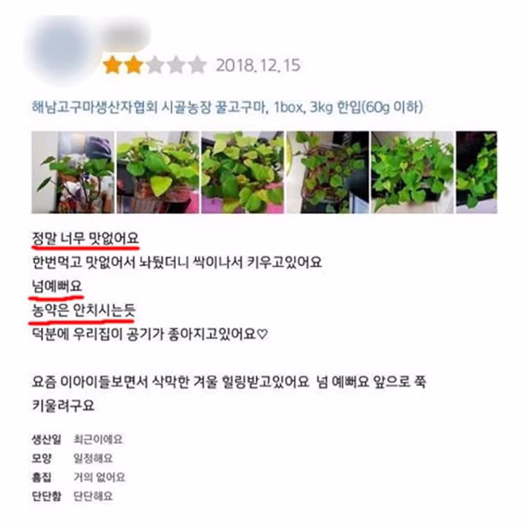 광기 어린 후기 빌런들의 고전 모음집 - FM코리아 인기글 이미지 5 - 밈카세