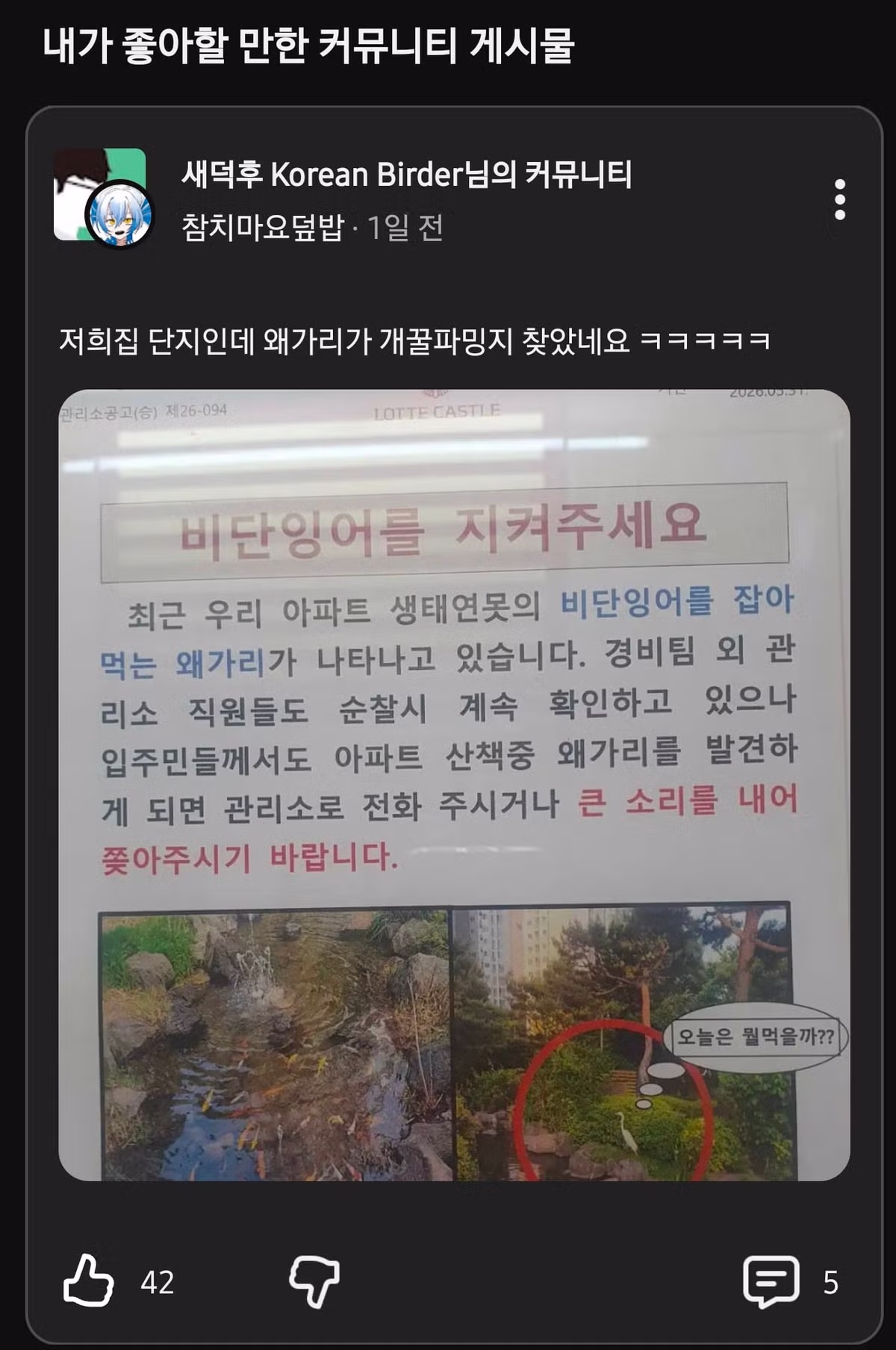 아파트 단지에 나타난 왜가리의 근황 - MLB파크 인기글 이미지 1 - 밈카세