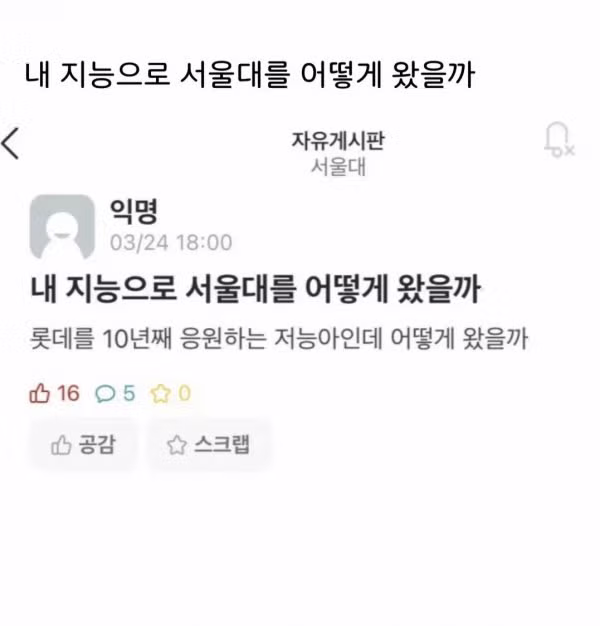 서울대생의 자학 - MLB파크 인기글 이미지 1 - 밈카세