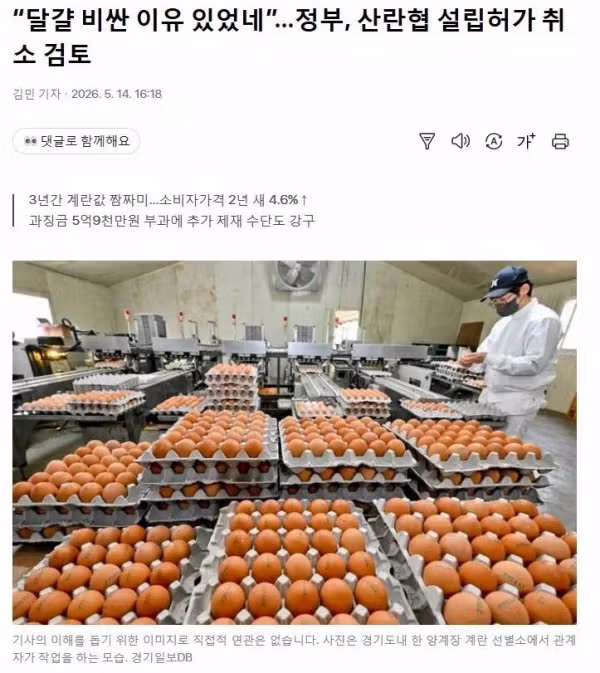 달걀 가격이 계속 올랐던 진짜 이유 - 뽐뿌 인기글 이미지 1 - 밈카세