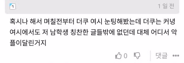 더쿠에서 시작된 광주 사건 악플러 검거 상황 - 개드립 인기글 이미지 5 - 밈카세