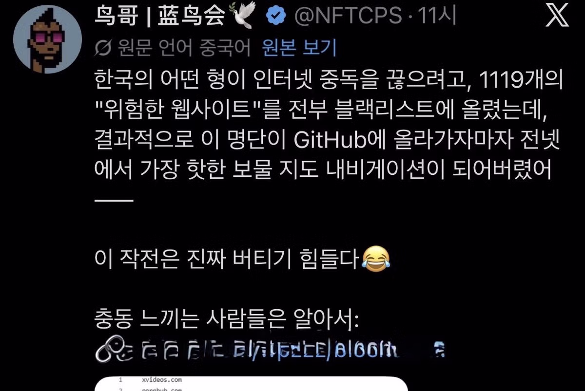 한국 정부의 유해 사이트 차단 방식 특징 - 인벤 인기글 이미지 1 - 밈카세