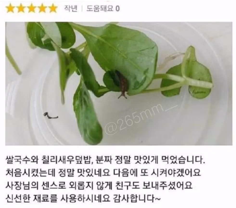 초긍정적인 사람들이 배달 사고를 대처하는 방법 - 보배드림 인기글 이미지 1 - 밈카세