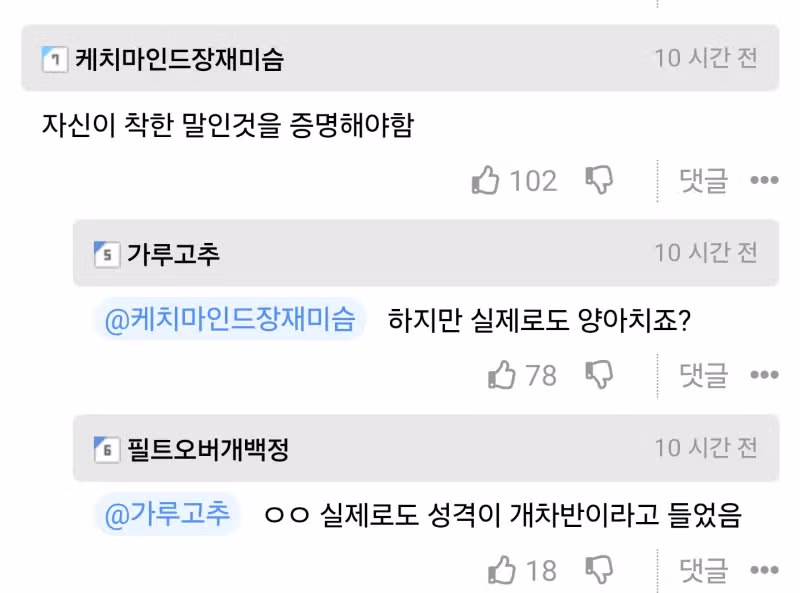 얼룩말을 처음 본 말 - 더쿠 인기글 이미지 2 - 밈카세
