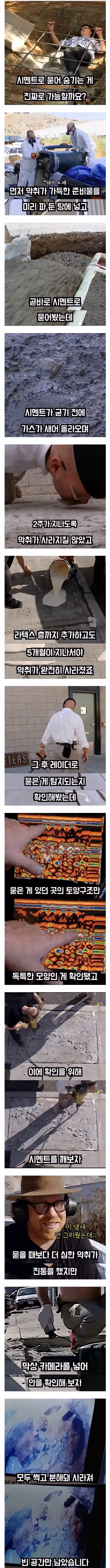 80KG 고기를 시멘트로 묻을 때 주의사항 - 와이고수 인기글 이미지 1 - 밈카세