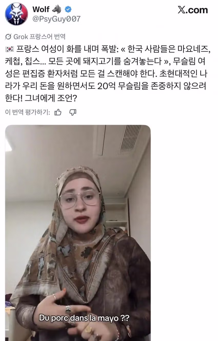 한국인은 20억 무슬림을 존중하지 않는다는 프랑스여성 - 디시인사이드 인기글 이미지 1 - 밈카세