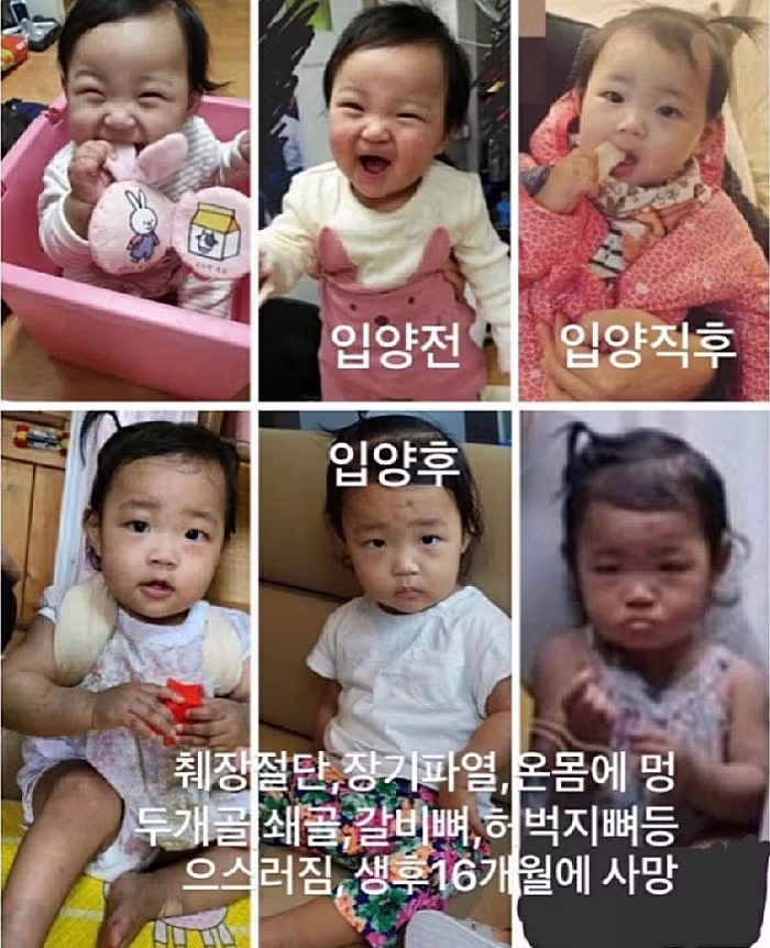 벌써 만기 출소하는 상황 - 네이트판 인기글 이미지 2 - 밈카세