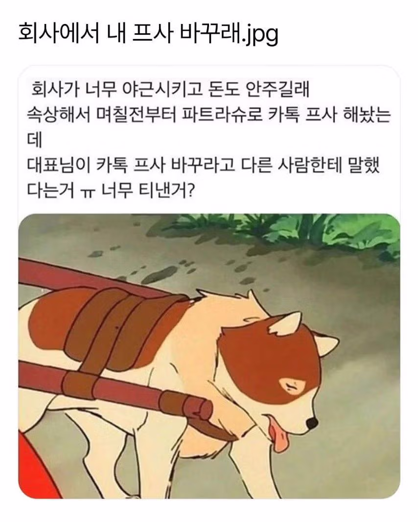 회사에서 내 프사 바꾸래. - 뽐뿌 인기글 이미지 1 - 밈카세