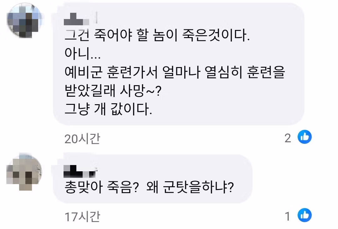 예비군 사망사건을 바라보는 누리꾼들의 반응 - FM코리아 인기글 이미지 6 - 밈카세
