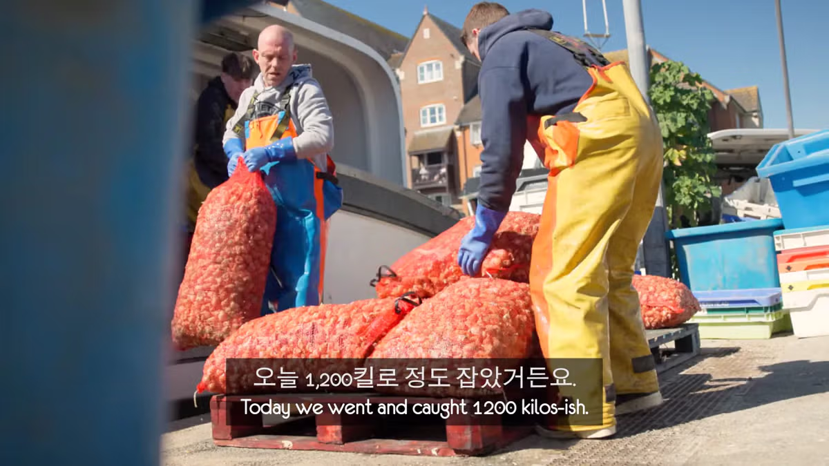 영국 어부들에게 한국식 골뱅이무침을 먹인 반응 - 더쿠 인기글 이미지 2 - 밈카세