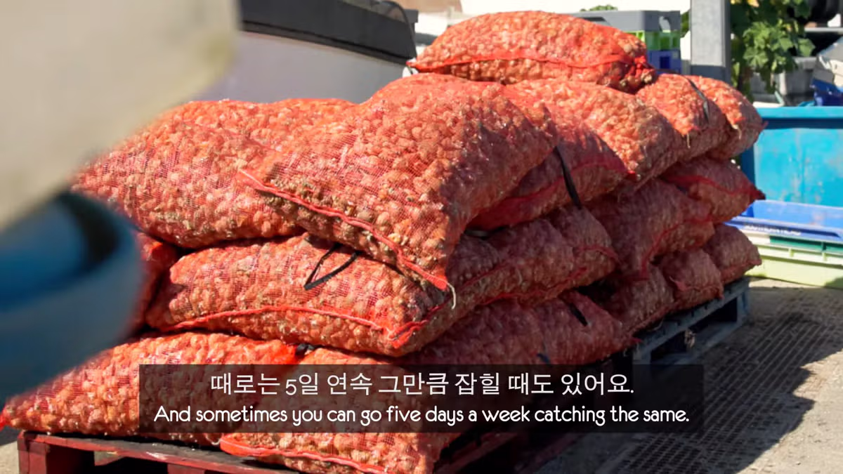 영국 어부들에게 한국식 골뱅이무침을 먹인 반응 - 더쿠 인기글 이미지 3 - 밈카세