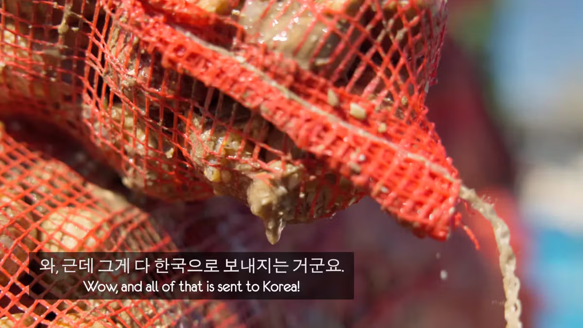 영국 어부들에게 한국식 골뱅이무침을 먹인 반응 - 더쿠 인기글 이미지 4 - 밈카세