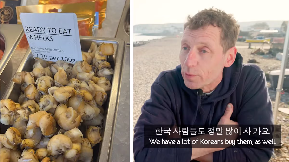 영국 어부들에게 한국식 골뱅이무침을 먹인 반응 - 더쿠 인기글 이미지 26 - 밈카세