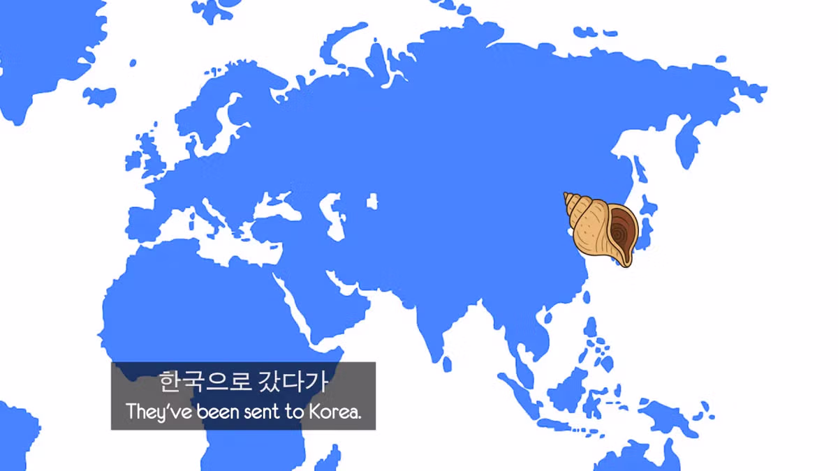 영국 어부들에게 한국식 골뱅이무침을 먹인 반응 - 더쿠 인기글 이미지 57 - 밈카세