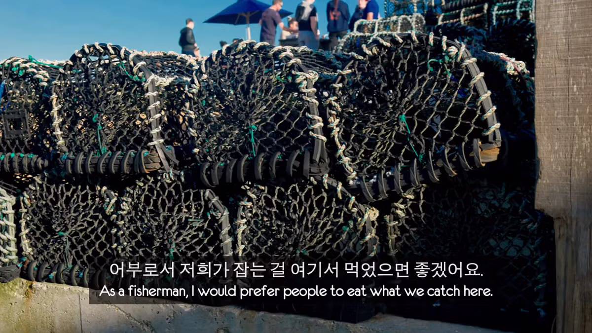 영국 어부들에게 한국식 골뱅이무침을 먹인 반응 - 더쿠 인기글 이미지 64 - 밈카세