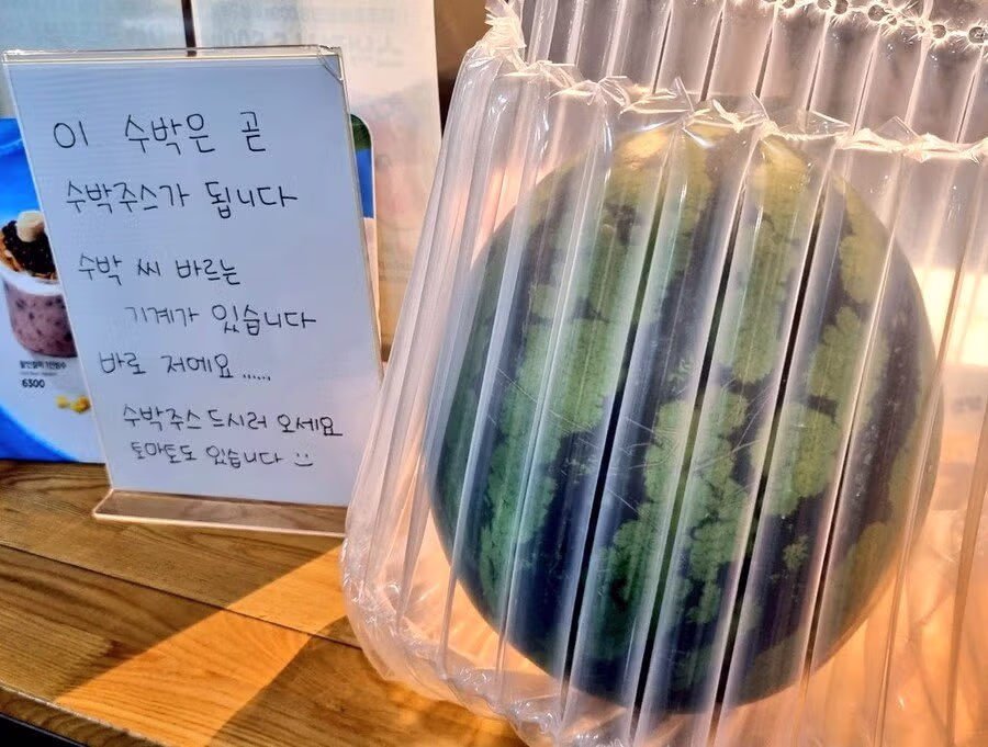 이디야 수박주스 시즌 시작과 함께 찾아온 알바생의 비극 - 보배드림 인기글 이미지 1 - 밈카세