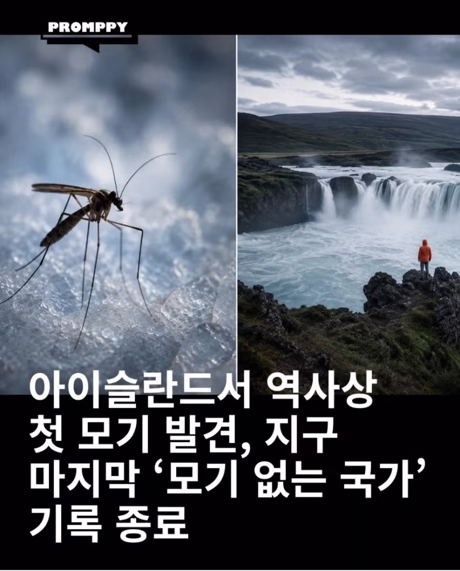 세계 정복을 완료한 모습 - 클리앙 인기글 이미지 1 - 밈카세