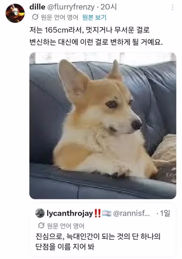 늑대인간이 된다면 겪게 될 단점들 - 뽐뿌 인기글 이미지 1 - 밈카세