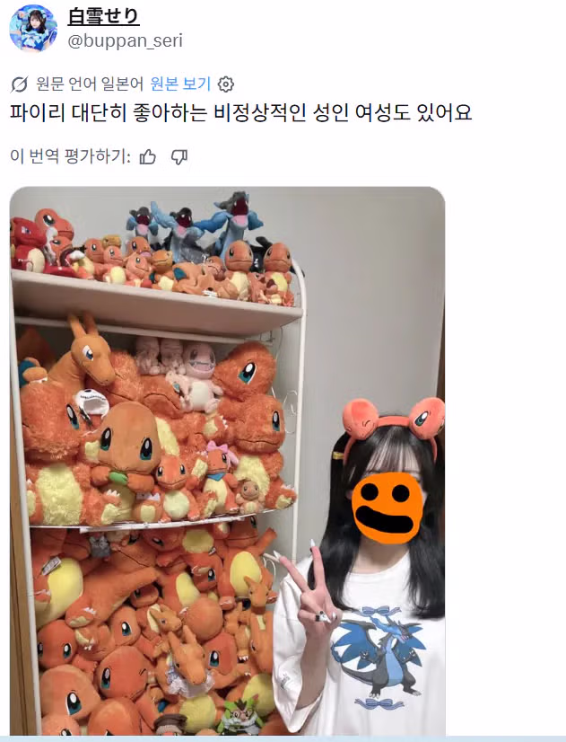 일본 트위터에서 갑자기 열려버린 여자들의 포켓몬 수집 배틀ㅋㅋㅋ - 디시인사이드 인기글 이미지 10 - 밈카세