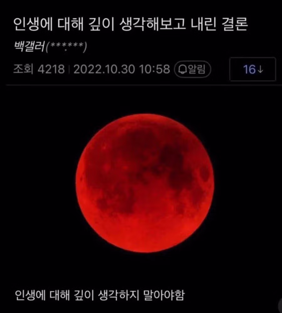 인생에 대해 깊이 고민하고 내린 결론 - 와이고수 인기글 이미지 1 - 밈카세