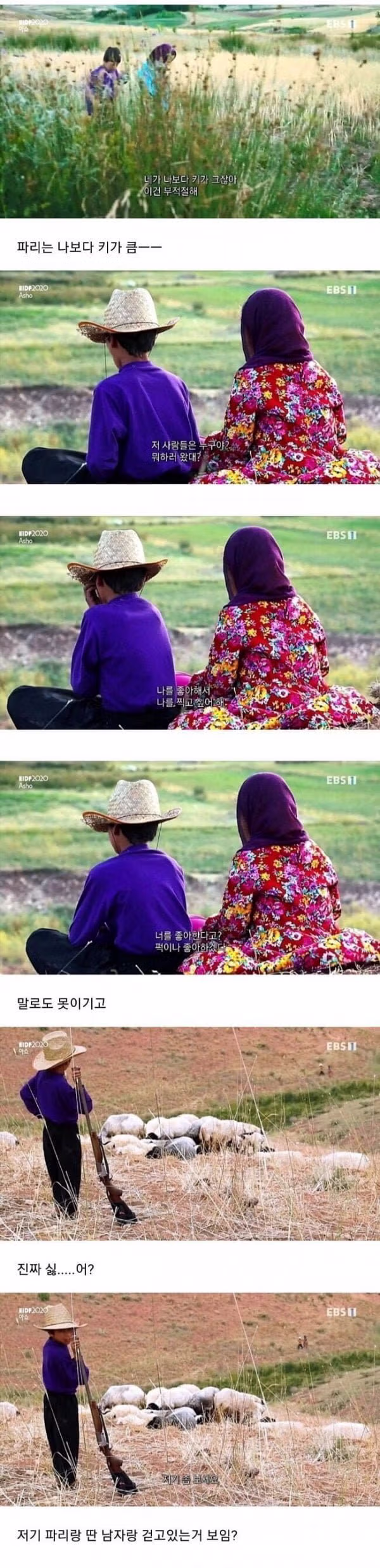 약혼녀가 마음에 들지 않는 소년 - 뽐뿌 인기글 이미지 2 - 밈카세