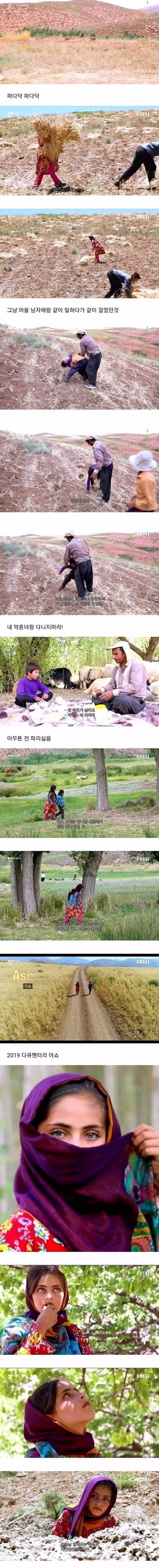 약혼녀가 마음에 들지 않는 소년 - 뽐뿌 인기글 이미지 3 - 밈카세