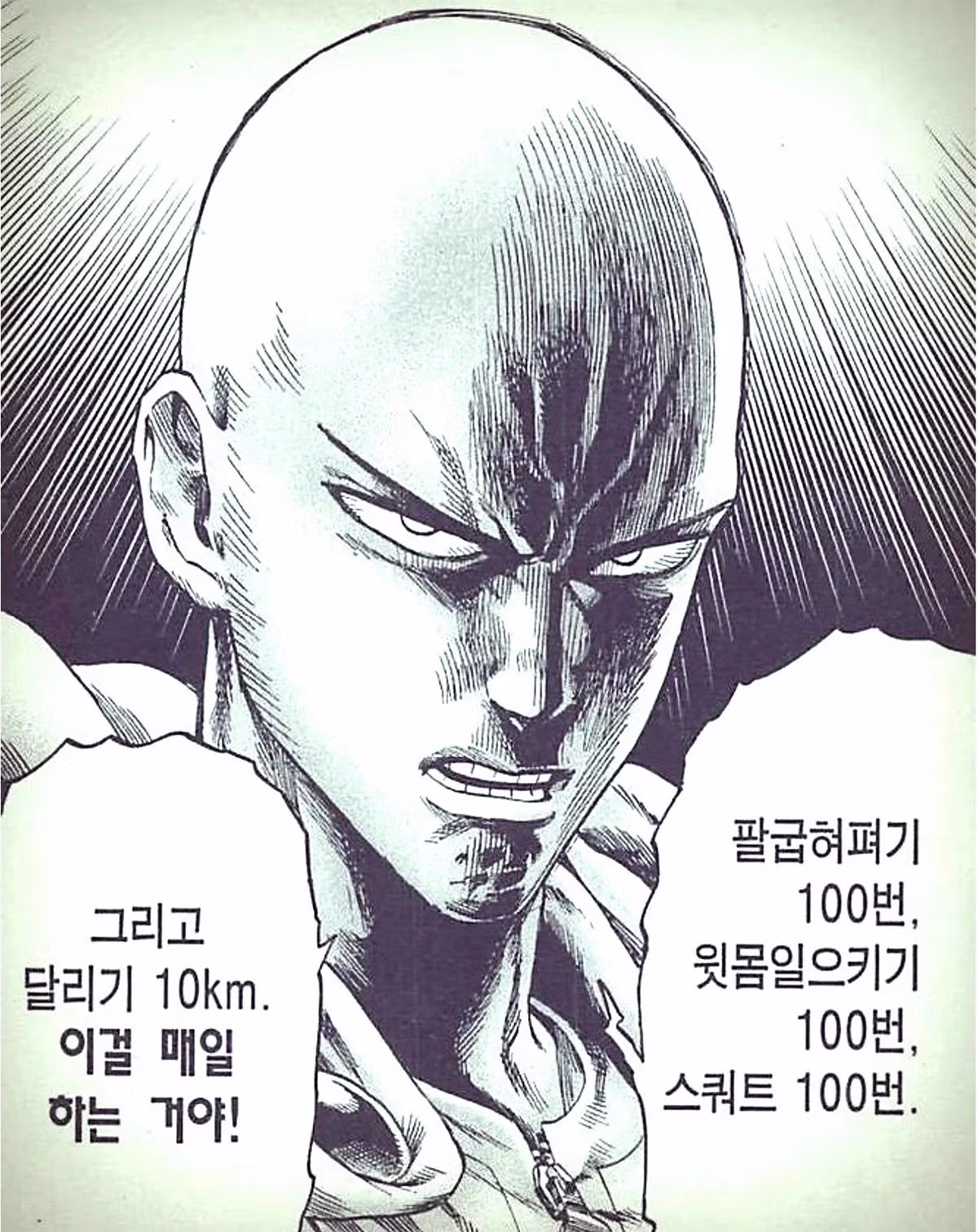 원펀맨 사이타마의 운동 루틴을 3년 동안 따라 한 남성 - 디시인사이드 인기글 이미지 2 - 밈카세