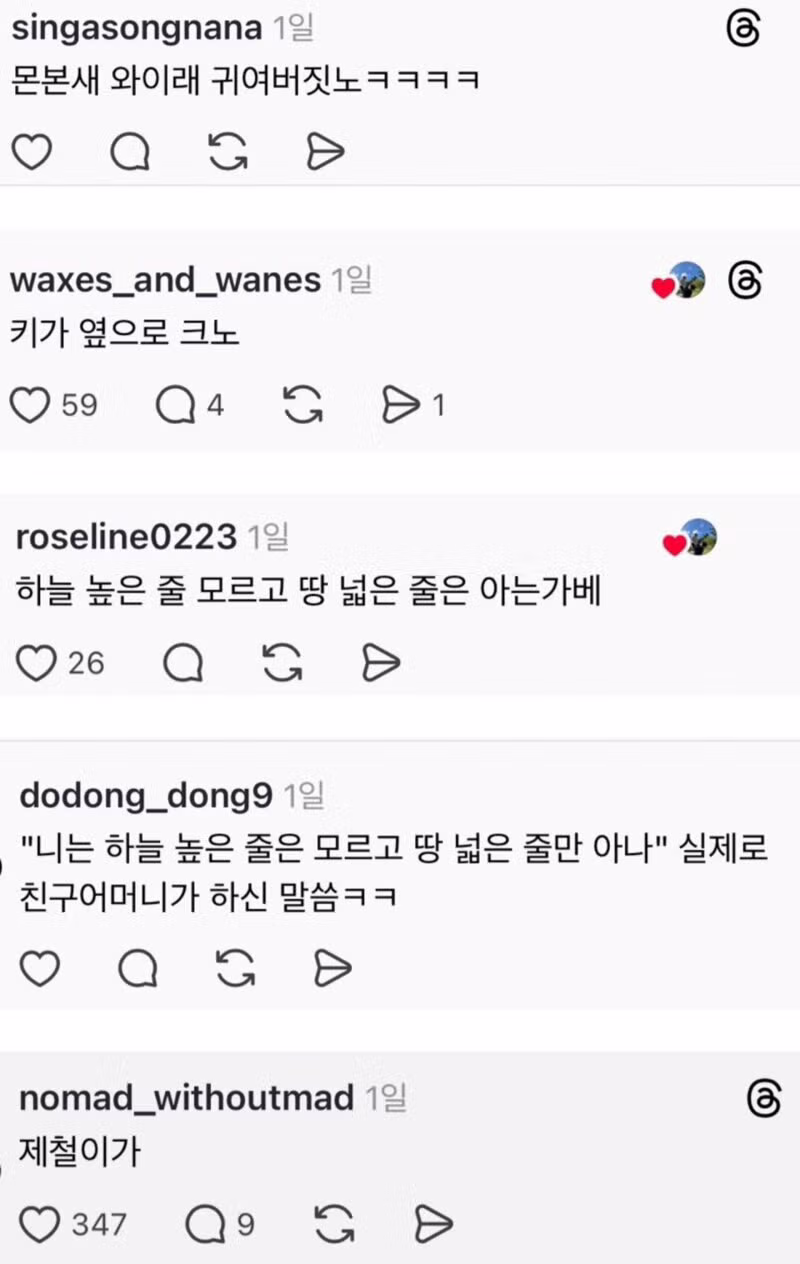 과체중이라는 말을 경상도식으로 기분 좋게 하는 법 - 더쿠 인기글 이미지 4 - 밈카세